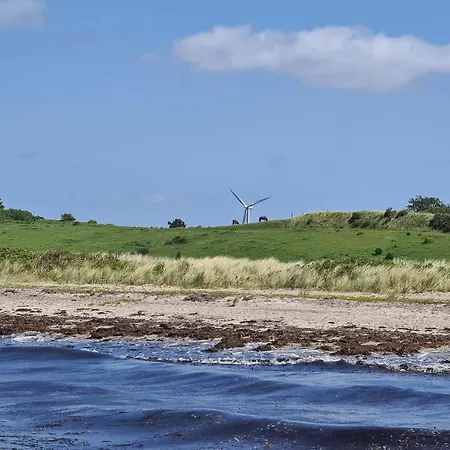 Feriehus 5 Star In
